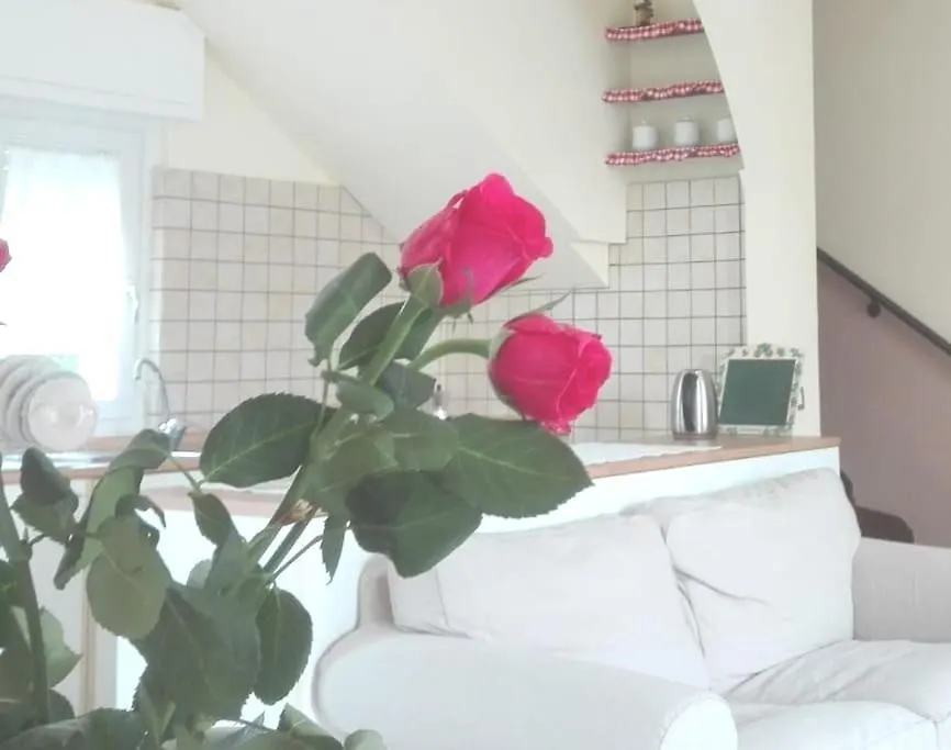 Apartment Ildi'S Guest House Seriate